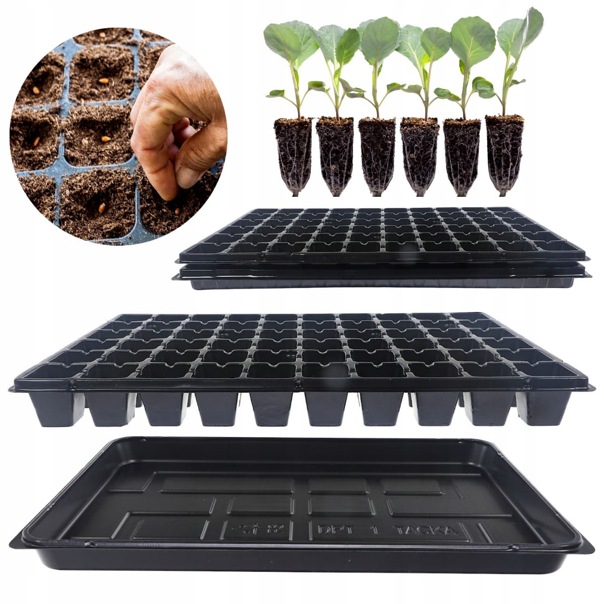 Doniczki do Wysiewu Nasion z Tacką 54 komórki - idealne wsparcie dla kostek z wełny mineralnej!